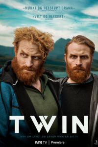 Близнец (2019)